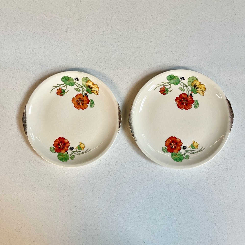 Set of 2 Nasturtium by PADEN CITY pottery salad dessert plates made in USA 6.5”